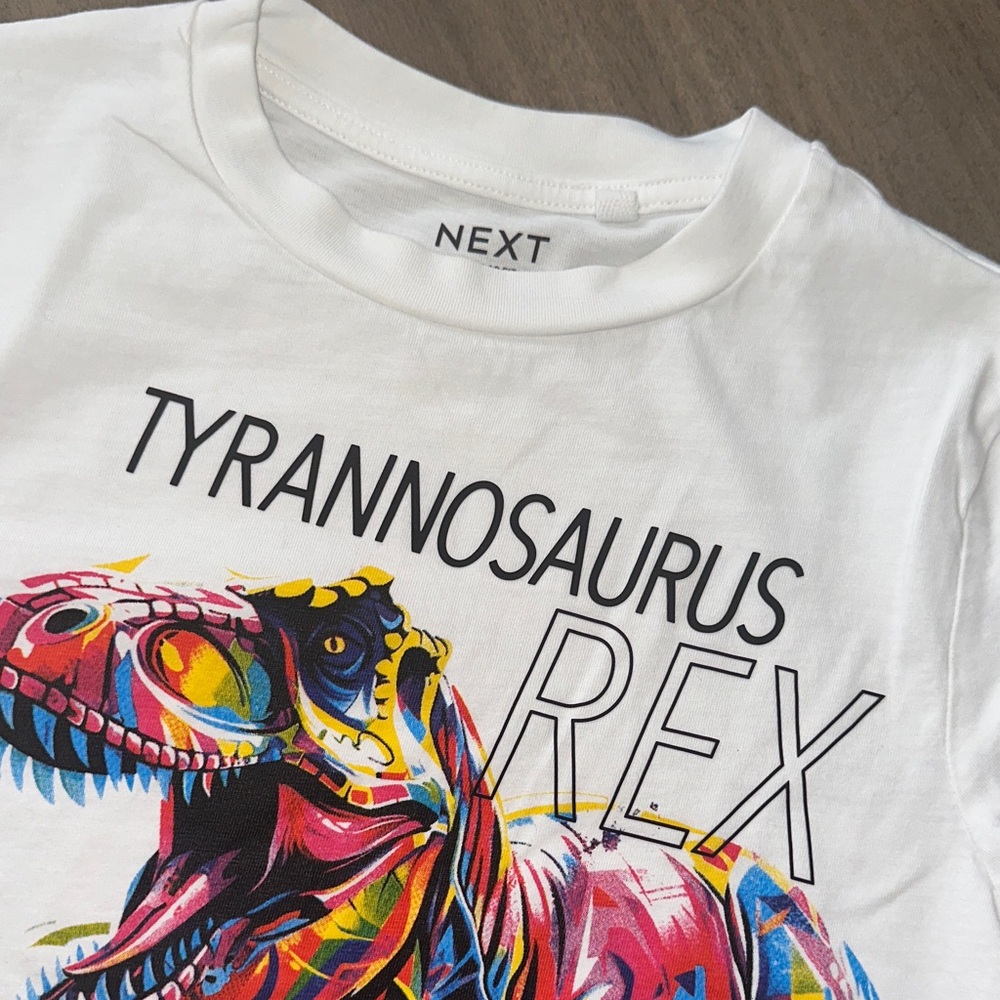 NEXT Kids T-Rex Tee and Polo Set - White and Light Green